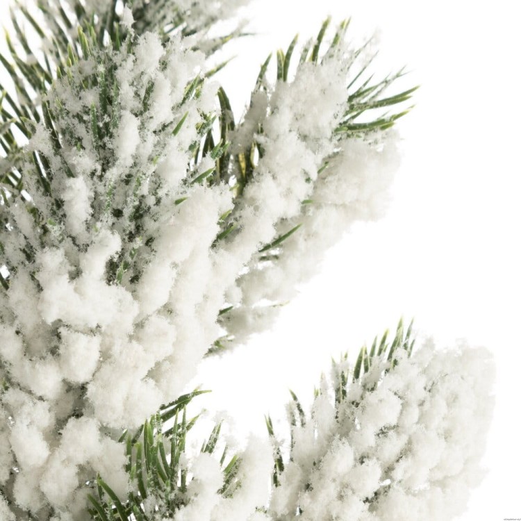 bcaec03eabe9ea4643a3a96d90de6231