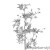 2d26b294bdad68d506acd8ad834f870b