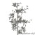 d70e99fae22a19c1fba30357459391a6