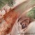 zas_altea_bez_140x250przel[Z5].jpeg