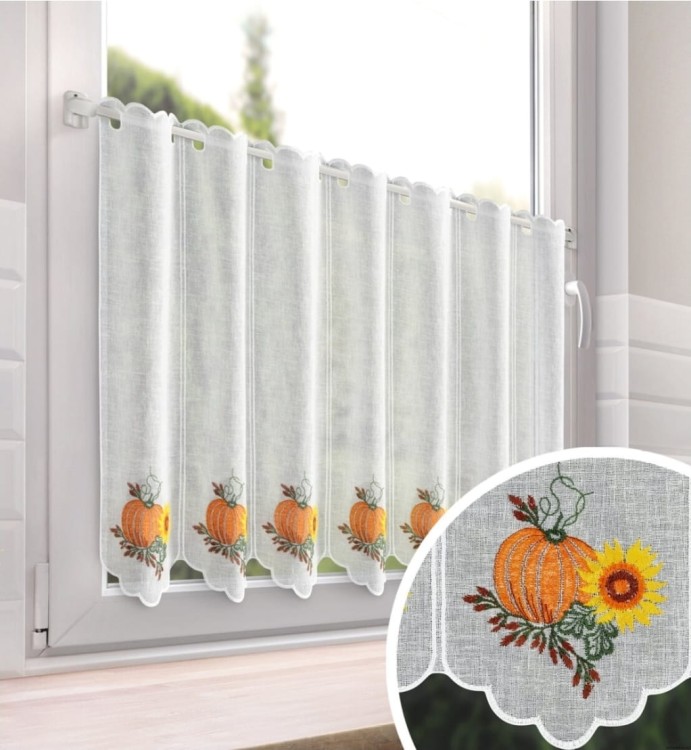 1000010294.jpg