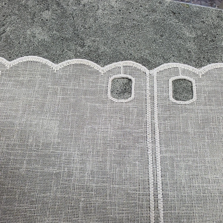 1000049391.jpg