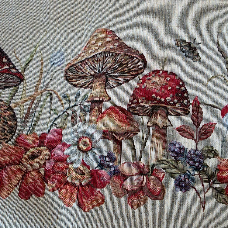 1000049655.jpg