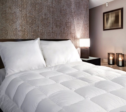 c38b1d40e511cf5dc6c750de09f36570