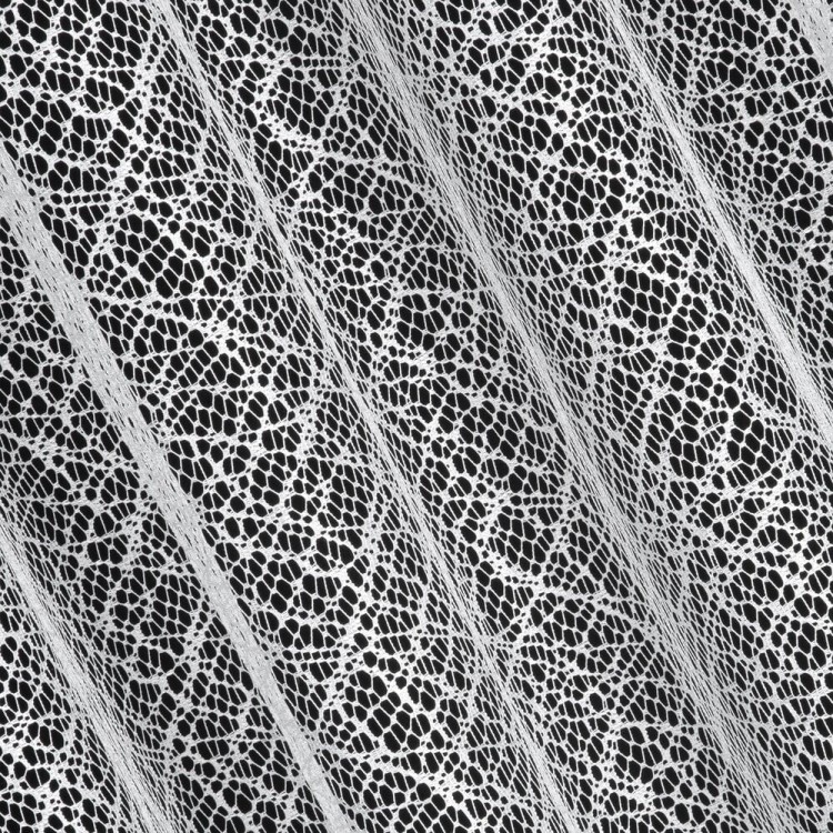 de7c629087ab22223efac2db99f599f2