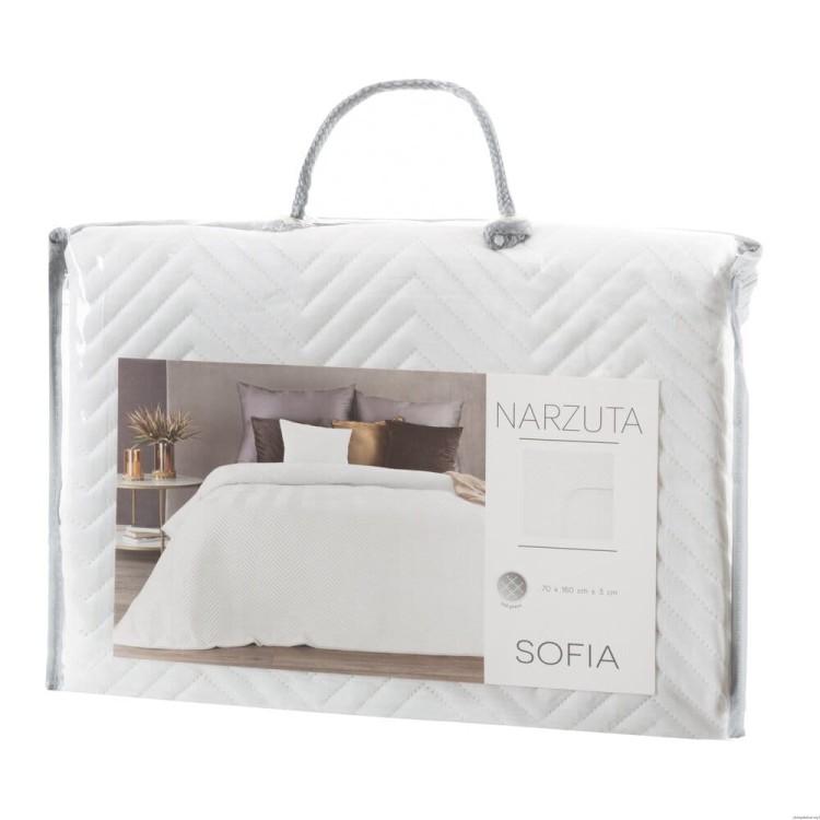 f39ed496a5b0c181a2d42a1f06379074